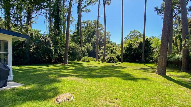 825 N Riverview Dr, Jekyll Island, GA 31527 - photo 22