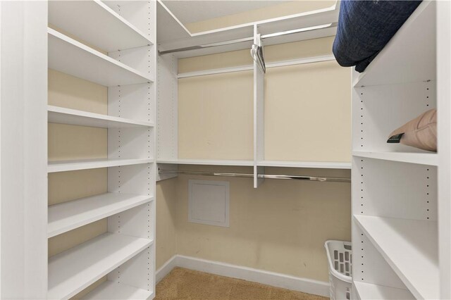 walk in closet featuring carpet floors