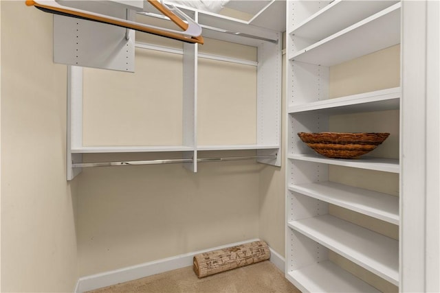 walk in closet featuring carpet floors