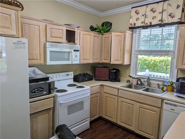 kitchen featuring light brown cabinets, white appliances, sink, dark hardwood / wood-style floors, and ornamental molding