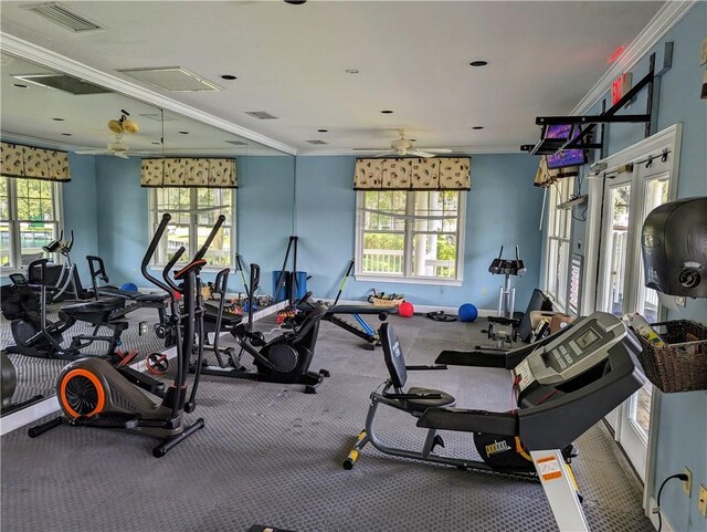 workout area featuring plenty of natural light, ceiling fan, and crown molding