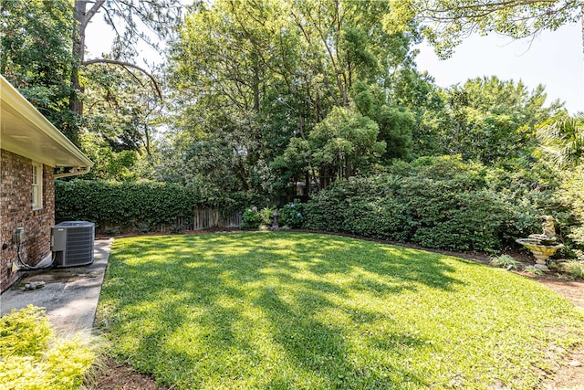 view of yard featuring central air condition unit