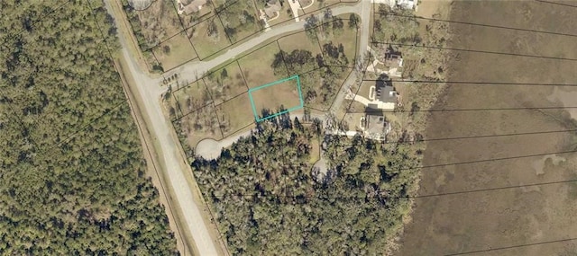 LOT61 Pearl Ct, Waverly, GA 31565 - photo 2