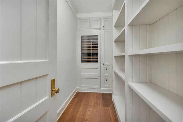 144 Point Ln, Saint Simons Island, GA 31522 - view of pantry