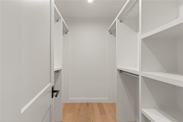 walk in closet with light wood-style floors