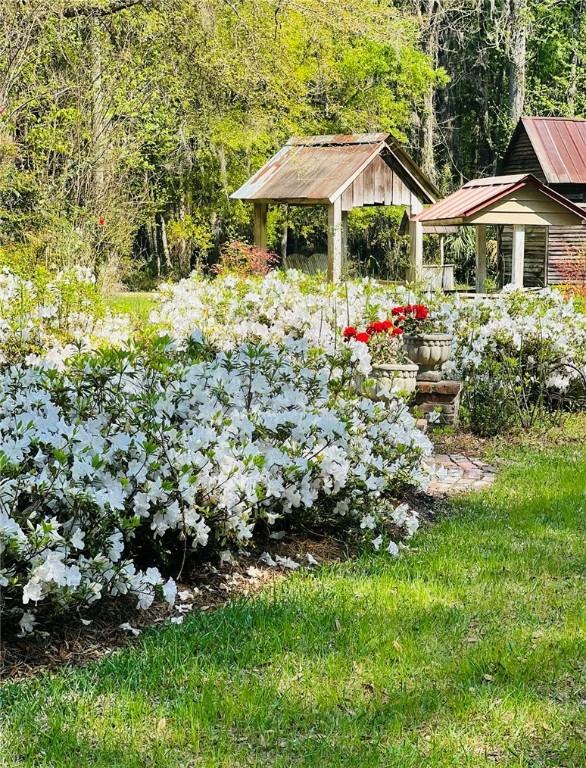 510 Bladen Rd, Brunswick, GA 31523 - view of yard