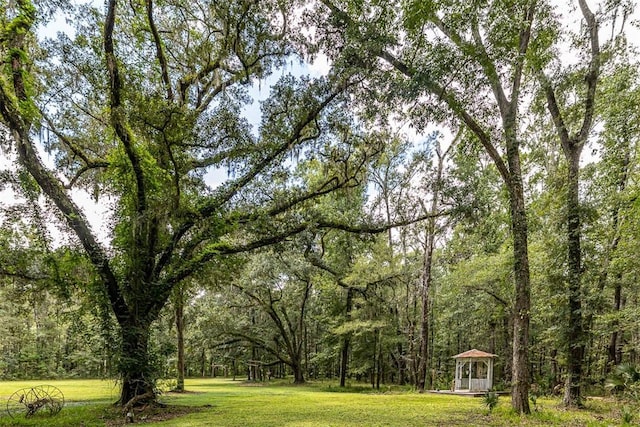 510 Bladen Rd, Brunswick, GA 31523 - view of yard with a gazebo and a forest view