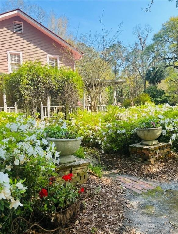 510 Bladen Rd, Brunswick, GA 31523 - view of yard