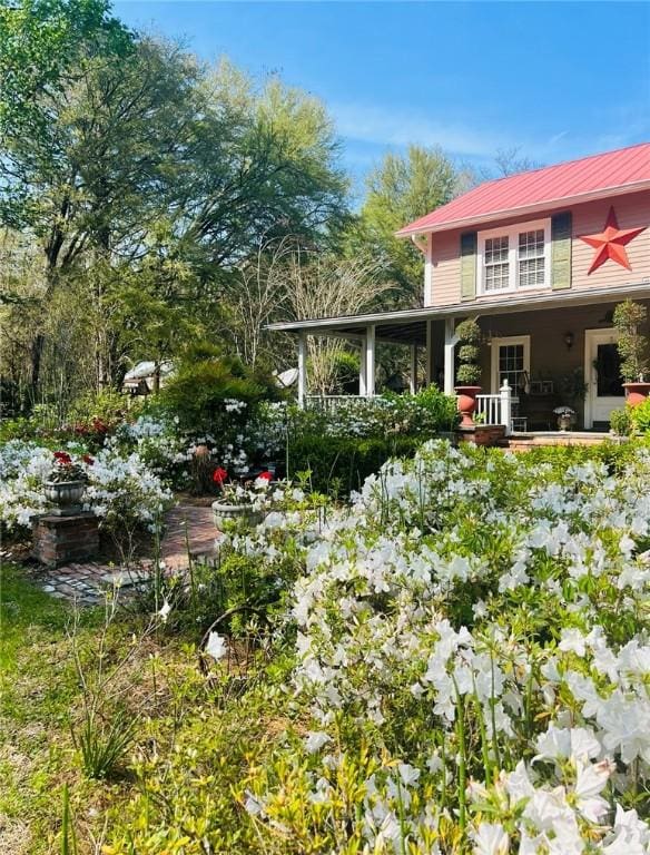 510 Bladen Rd, Brunswick, GA 31523 - view of yard