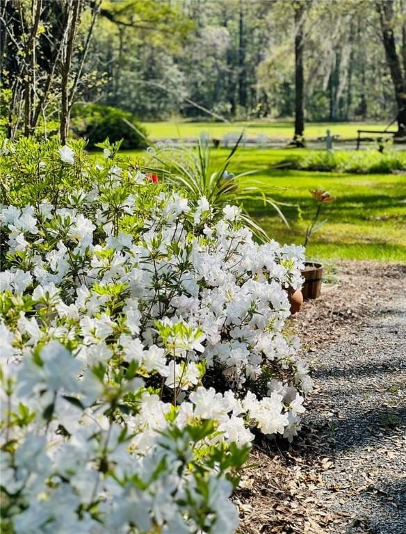 510 Bladen Rd, Brunswick, GA 31523 - view of yard