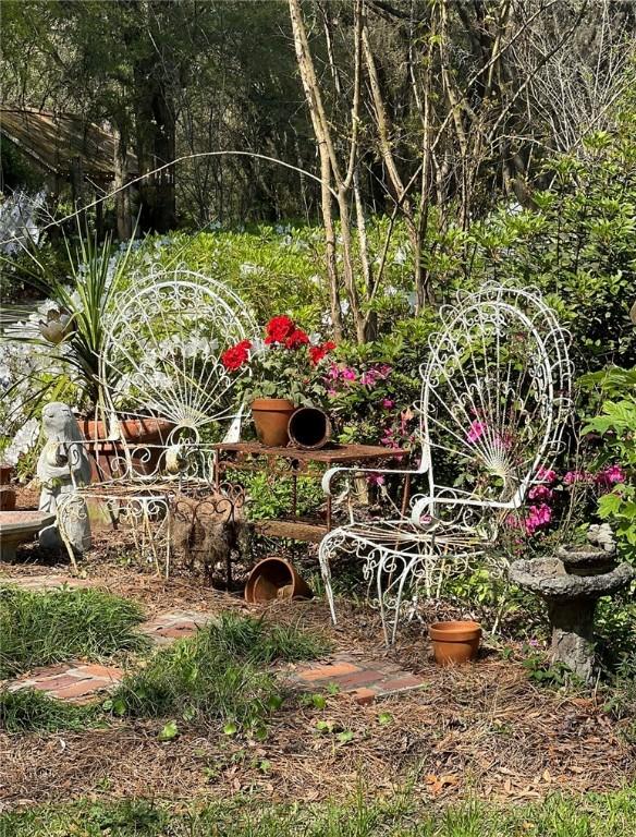 510 Bladen Rd, Brunswick, GA 31523 - view of yard