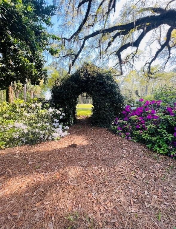 510 Bladen Rd, Brunswick, GA 31523 - view of yard