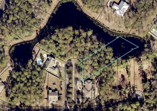 LOT23-D Black Tern Way, Waverly, GA 31565