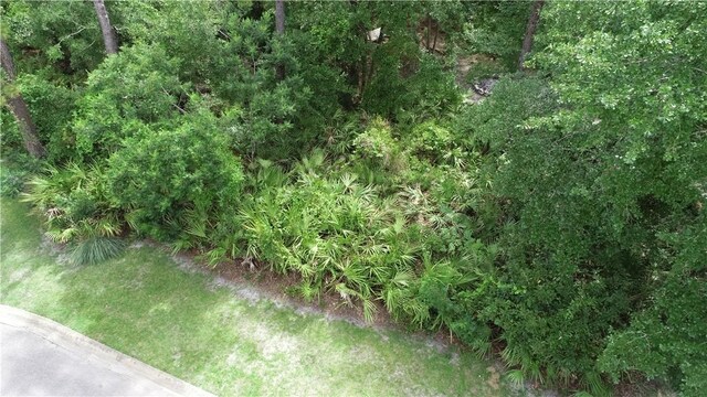 LOT23-D Black Tern Way, Waverly, GA 31565