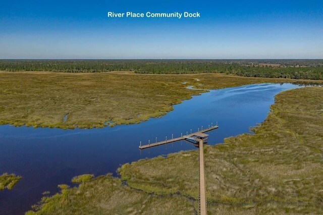 LOT23-D Black Tern Way, Waverly, GA 31565