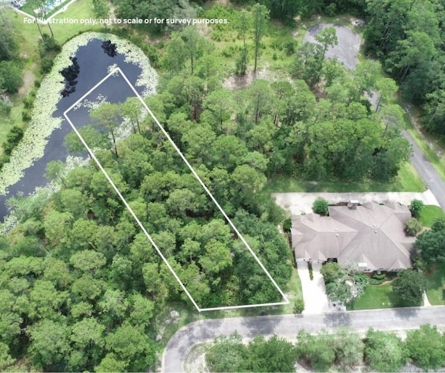 LOT23-D Black Tern Way, Waverly, GA 31565