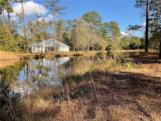 LOT23-D Black Tern Way, Waverly, GA 31565