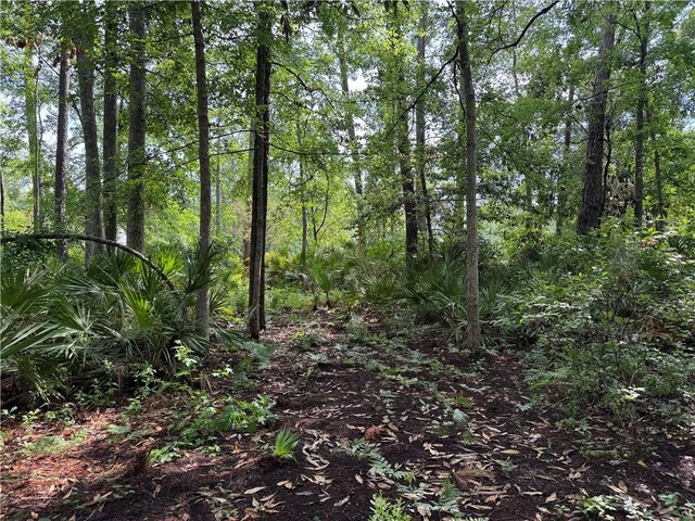 LOT23-D Black Tern Way, Waverly, GA 31565
