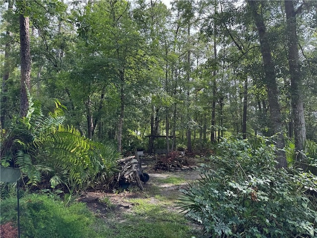 LOT23-D Black Tern Way, Waverly, GA 31565