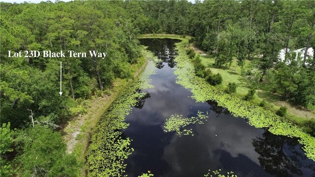 LOT23-D Black Tern Way, Waverly, GA 31565
