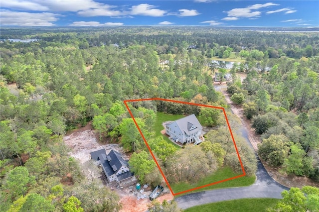 1068 Picnic Ln NE, Townsend, GA 31331 - birds eye view of property with a view of trees