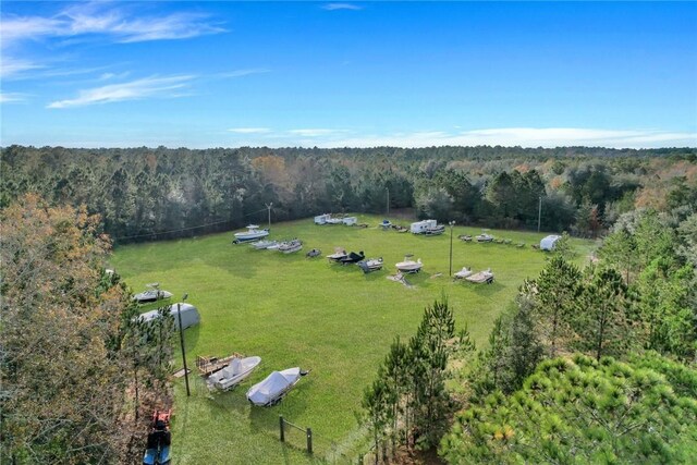 1068 Picnic Ln NE, Townsend, GA 31331 - bird's eye view with a view of trees