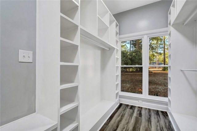 spacious closet with dark hardwood / wood-style flooring