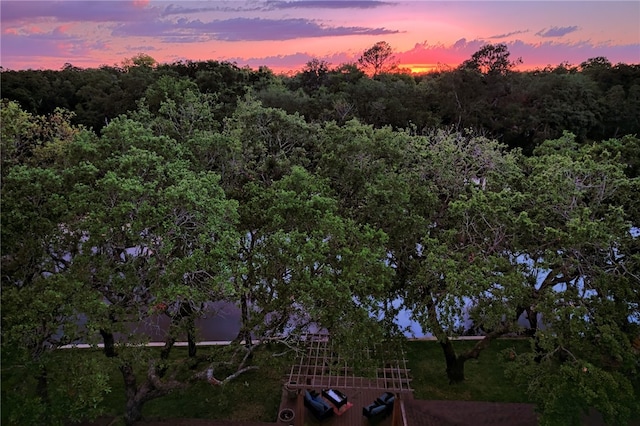 105 Driftwood Pl, Saint Simons Island, GA 31522 - aerial view at dusk of a forest view