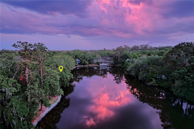 105 Driftwood Pl, Saint Simons Island, GA 31522 - aerial view of a large body of water and a forest