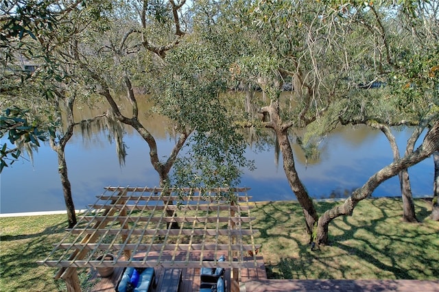 105 Driftwood Pl, Saint Simons Island, GA 31522 - water view