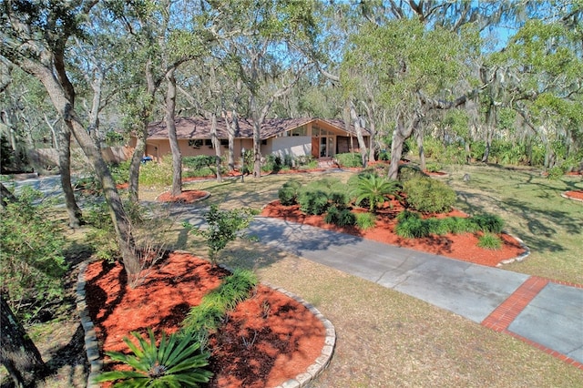 105 Driftwood Pl, Saint Simons Island, GA 31522 - view of yard