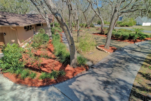 105 Driftwood Pl, Saint Simons Island, GA 31522 - view of yard