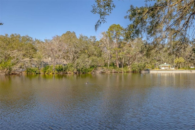 105 Driftwood Pl, Saint Simons Island, GA 31522 - water view