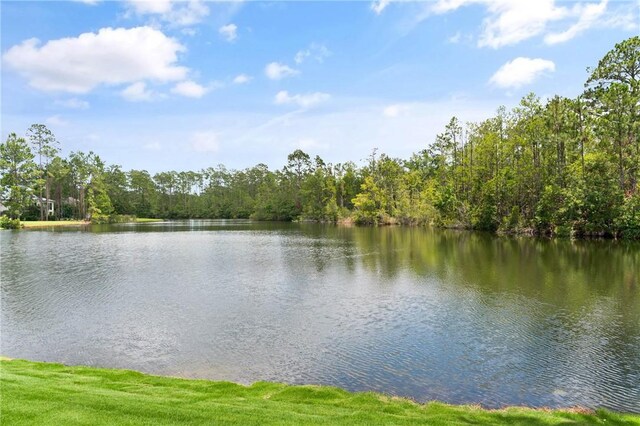 111 Stillwater Dr, Saint Simons Island, GA 31522 - photo 41