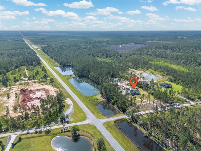 121 Farms Edge Rd S, Manor, GA 31550 - aerial view of property and surrounding area featuring a forest and a large body of water