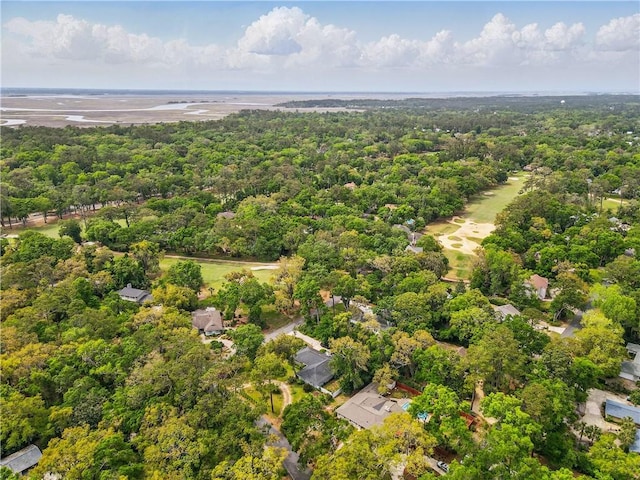111 Palm Dr, Saint Simons Island, GA 31522 - drone / aerial view of a forest