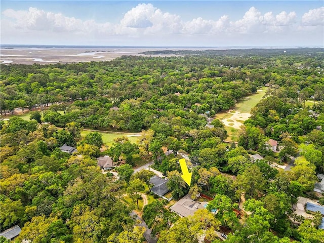 111 Palm Dr, Saint Simons Island, GA 31522 - aerial view of a heavily wooded area