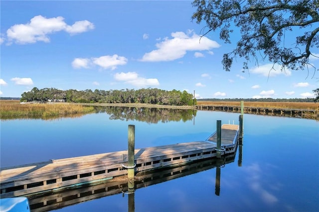 dock area featuring a water view