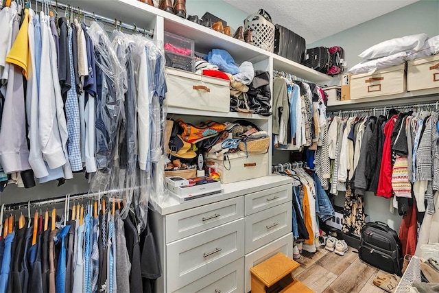 spacious closet featuring light hardwood / wood-style flooring