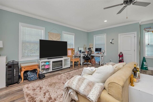 living room featuring crown molding, hardwood / wood-style floors, and ceiling fan