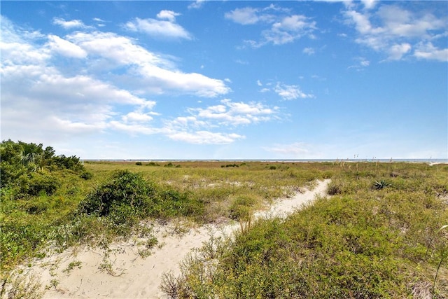 1524 Wood Ave Unit 314, Saint Simons Island, GA 31522 - view of local wilderness with rural landscape