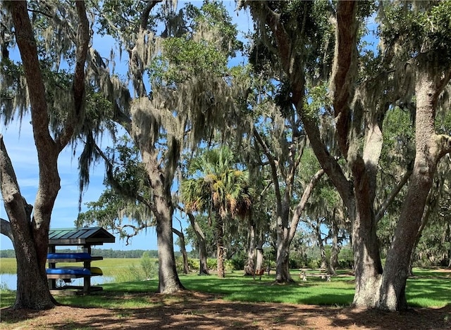 view of yard with a water view