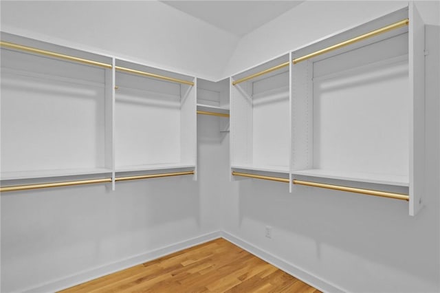 spacious closet featuring hardwood / wood-style floors