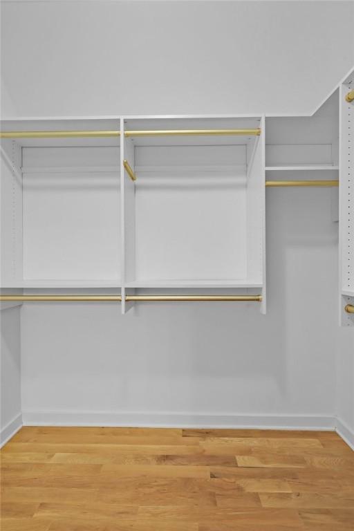 walk in closet with hardwood / wood-style flooring