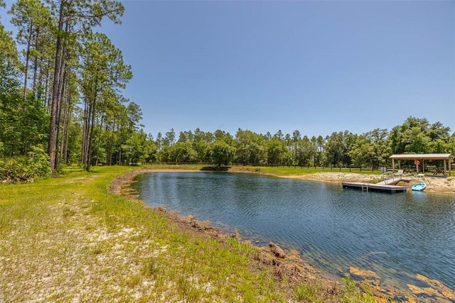 247 N Bluff Rd, White Oak, GA 31568 - photo 49