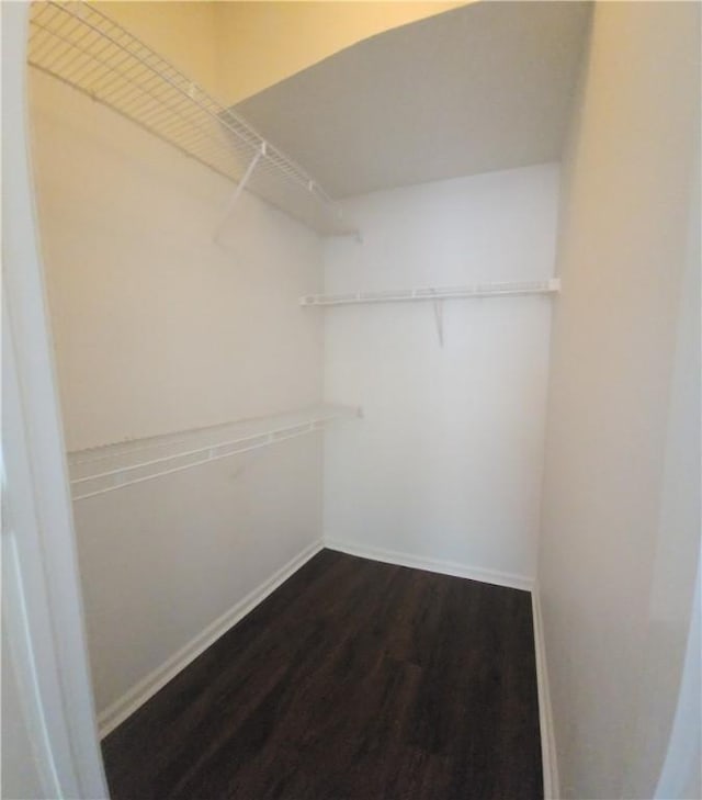 1704 Frederica Rd Unit 422, Saint Simons Island, GA 31522 - walk in closet featuring dark wood-style floors