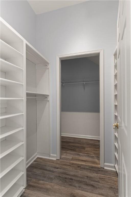 spacious closet with dark hardwood / wood-style floors