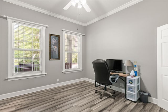 office with crown molding, a ceiling fan, a wealth of natural light, and wood finished floors