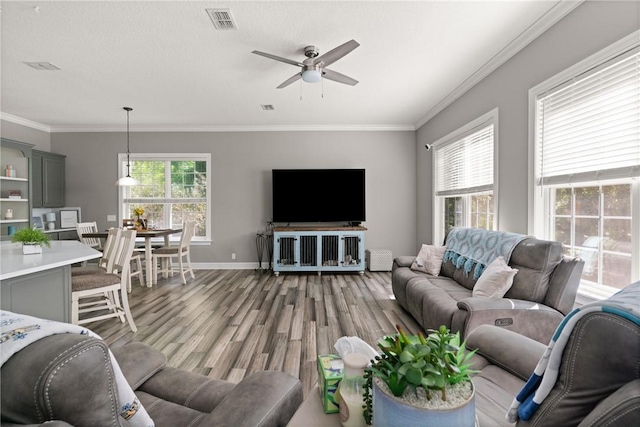 living room featuring a ceiling fan, visible vents, ornamental molding, and light wood finished floors
