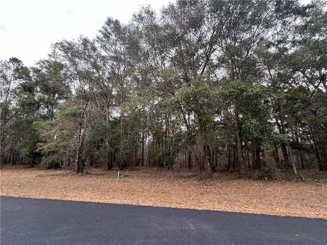 Listing photo 2 for LOT710 Coopers Landing Dr NE, Townsend GA 31331